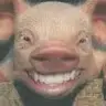 Diego Pagola Aizpuru - @yeyo059 - TikTok