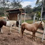Diego Prates - @prates_0908 - Instagram