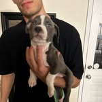 Diëgo Ruelas - @diego_ruelasss - Instagram