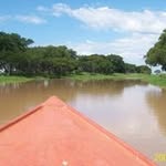 Diego Schmidt - @_diego_schmidt_ - Instagram