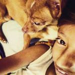 Diego Serratos - @diegopolinesio1 - Instagram