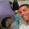Diego Serratos - @deco_misado - TikTok