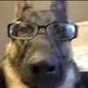 Diego Sevilla - @diego.sevilla44 - TikTok