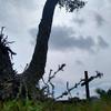 Diego Shaw - @diego.shaw6 - TikTok