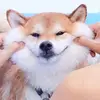 diegosickgardssen - @diegosickgardssen - TikTok