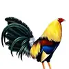 diegosigala447 - @diego45_sigala - TikTok