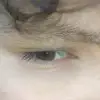 diegosigala52 - @diegosigala52 - TikTok
