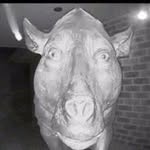 Diego Sims - @whycantthemcribstay - Instagram