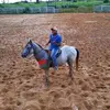 Diego Siva237 - @diegosiva237 - TikTok