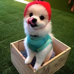 DiegoShop - @diego_small_shop - Instagram