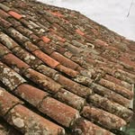 Diego León Socorro - @socorrodiego - Instagram
