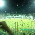 Diego Taborda - @d.taborda - Instagram