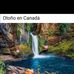 Diego Tambriz - Facebook
