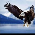 Diego Tejada - @diegofernandotejada09 - Instagram