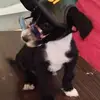 Diego Tenorio - @diego.tenorio02 - TikTok