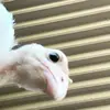 Diego Topete - @diegotopete06 - TikTok