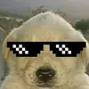 holaaaasoydiego [   :)   ] - @diegotopete5727 - TikTok