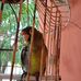 Diego Toscano - Facebook