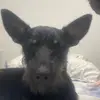 Diego Trejos - @diego.trejos83 - TikTok