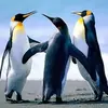 Diego Trejos - @diego.trejos857 - TikTok