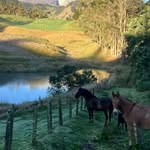 Diego Trejos - @diego.trejos.5876 - Instagram
