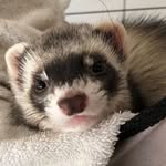 Diego Trevizo - @diego.trevizo.54 - Instagram