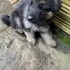Diego Ucros - @diego.ucros4 - TikTok