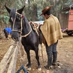 Diego Ugalde - @ugalde.161 - Instagram