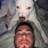 diegourbaneja - @diegour01 - TikTok