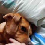 Diego Ureta - @diego.ureta.14 - Instagram