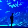 Diego Urias - @diego.urias5 - TikTok