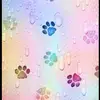 perritos ❤️❤️❤️ - @diegouriel0515 - TikTok