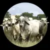 Diego urrea - @diego.urrea7 - TikTok