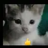 DIEGO_VALBUENA - @diego_valbuena - TikTok