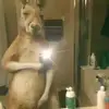 Diego Valdes - @diego.valdes131 - TikTok
