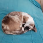 Diego Valério - @diego.valerio.125323 - Instagram