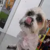 DiegoVasquez :)) - @diegovasquez28616 - TikTok