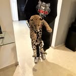 Diego Villavicencio - @diegovillavicena - Instagram