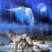 Diego Vito - Facebook