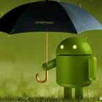 Diego Wallace - Facebook