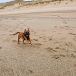 Diego Waller - @diego_waller - Instagram
