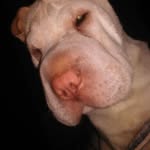 diego walter sandoval - @diegowaltersando07 - Instagram