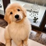 Diego Watson - Facebook