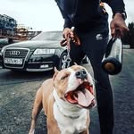 Diego_Watson - @_1motorist9_ - Instagram