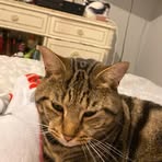 Diego Watts - Facebook