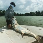 diego wendt - @diego.wendt - Instagram