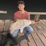 Diego Wendt - @wendt4044 - Instagram