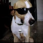 Diego Wright - @diegowright629 - Instagram