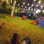 DiegYr - @diegoyangali26 - Instagram