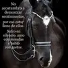 es mi caso - @diegoyepes71 - TikTok